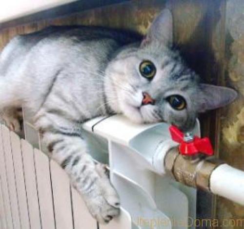 Подключение радиатора отопления к двухтрубной системе. Какие виды отопительных систем бывают? 07