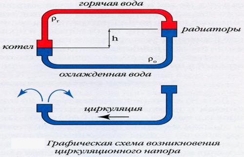 Сколько литров в секции батареи. Для чего нужно знать количество воды в батарее