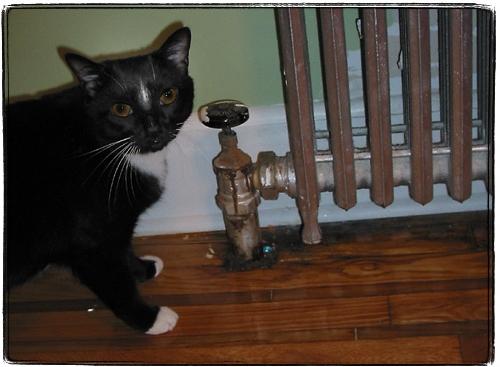 Двухтрубная система отопления с нижней разводкой. Схема работы нижней разводки